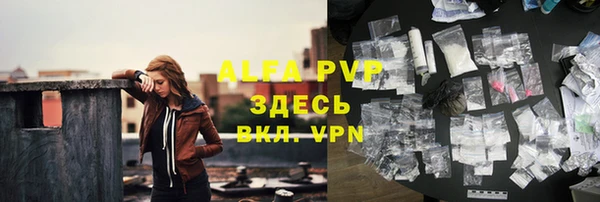 PSILOCYBIN Балахна