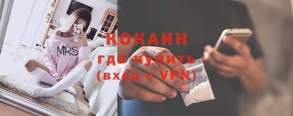 прущие грибы Аркадак