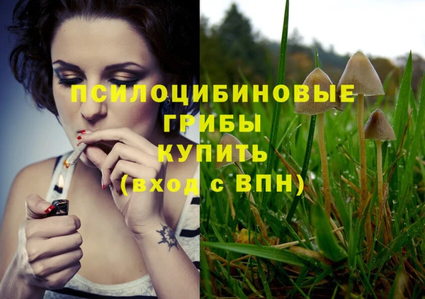 PSILOCYBIN Балахна