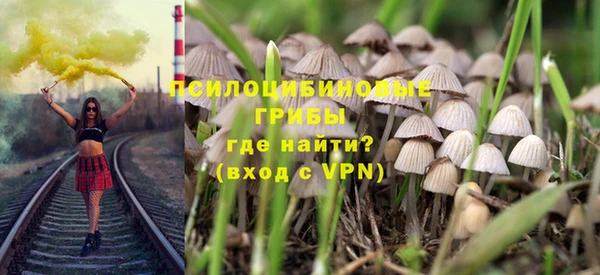 PSILOCYBIN Балахна
