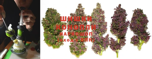 PSILOCYBIN Балахна